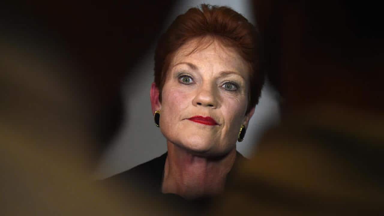 One Nation leader Senator Pauline Hanson speaks to the media