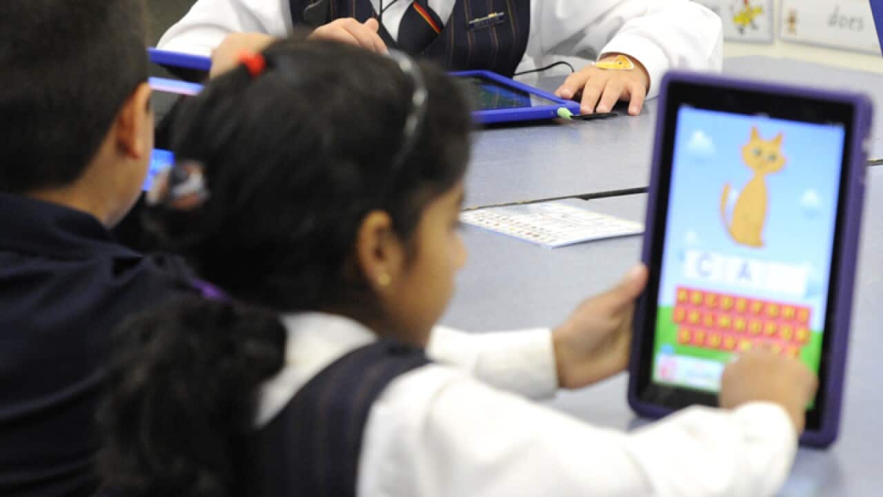 Primary school students.