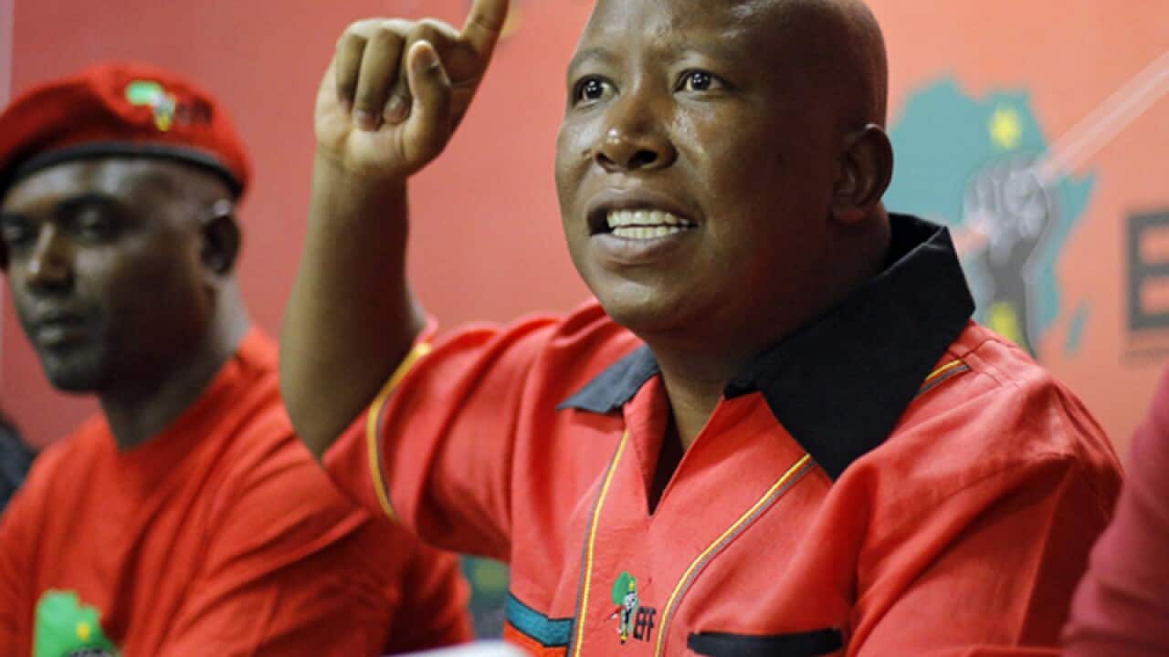 Opposition EFF party leader Julius Malema