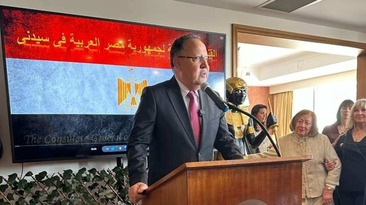 القنصل المصري.jpg