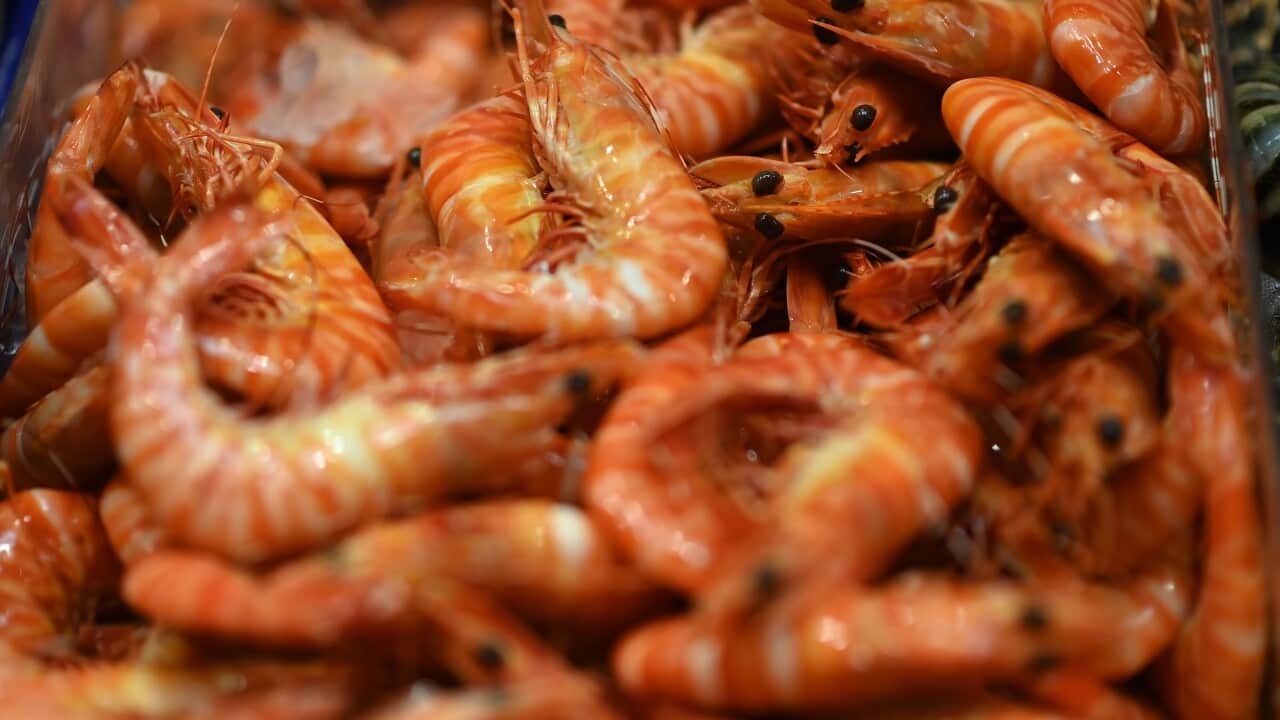 MELBOURNE CHRISTMAS FISH MARKETS