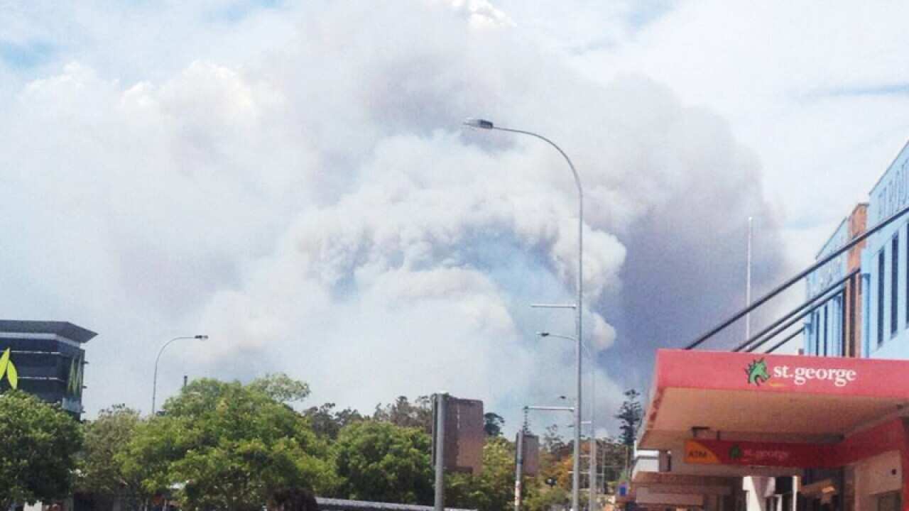 A bushfire seen near Hank St in Heatherbrae, NSW.