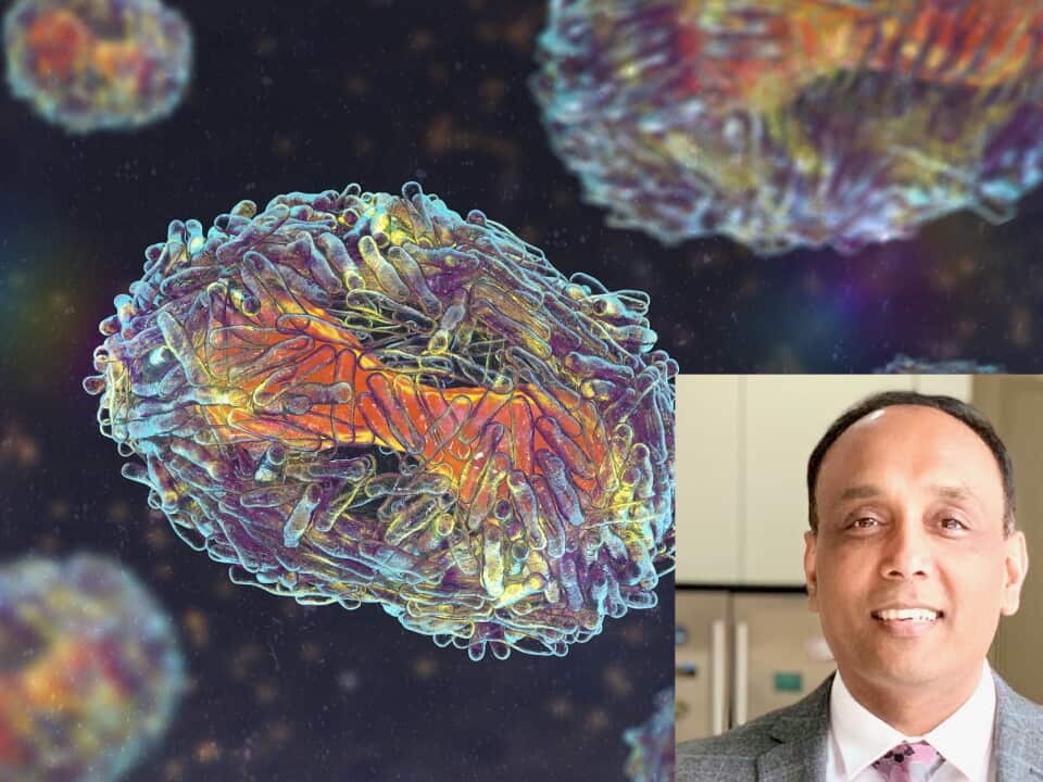Monkeypox virus particles, illustration
