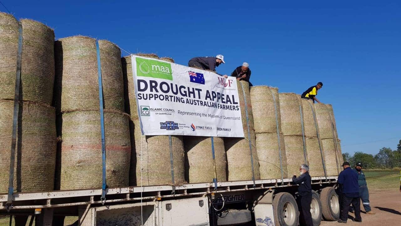 Image for read more article 'READ MORE'