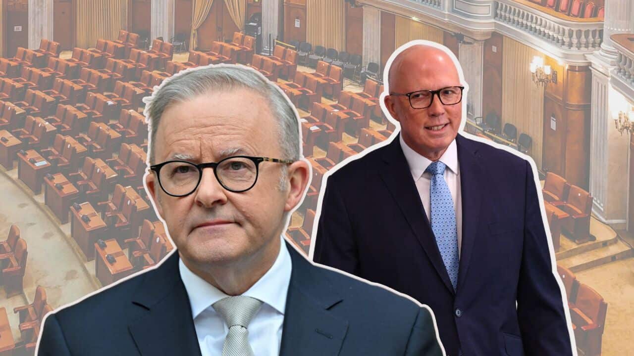 Image for read more article 'READ MORE'