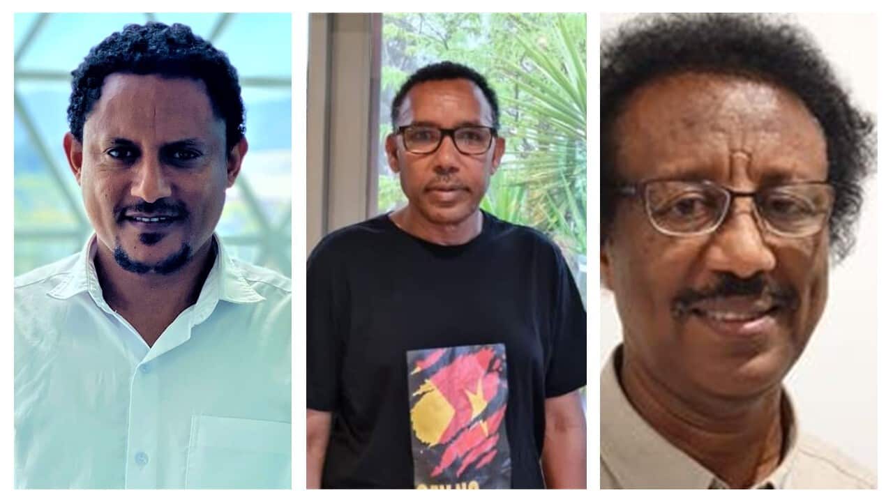 Tigray community leaders reflect on the Tigray war