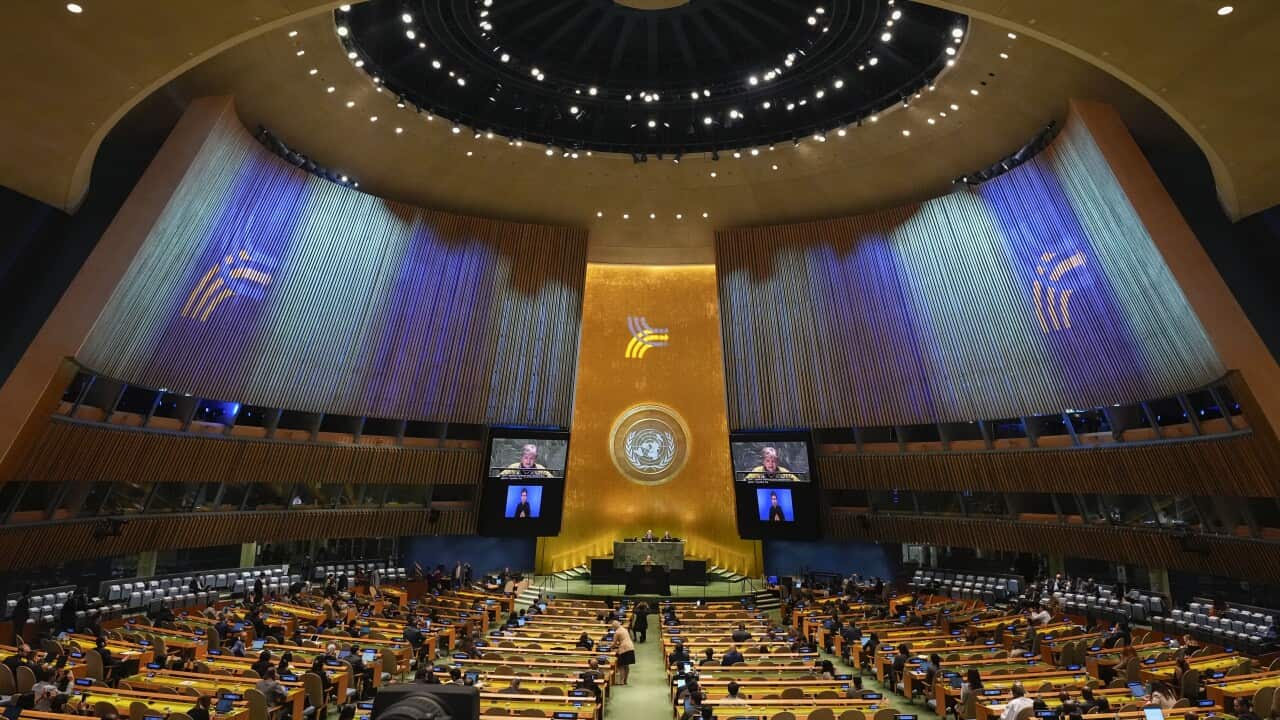UN General Assembly