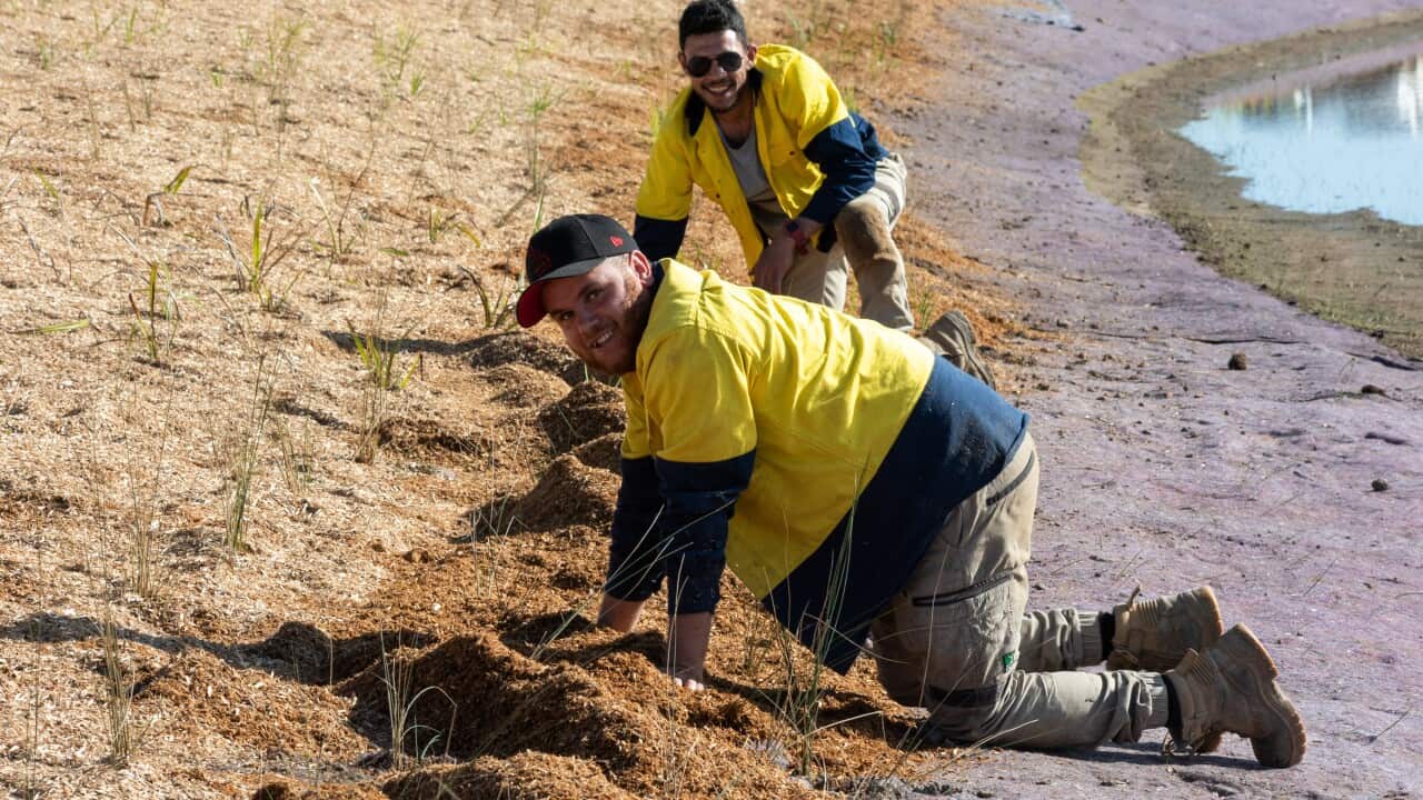 The GLaWAC crew building man-made wetlands