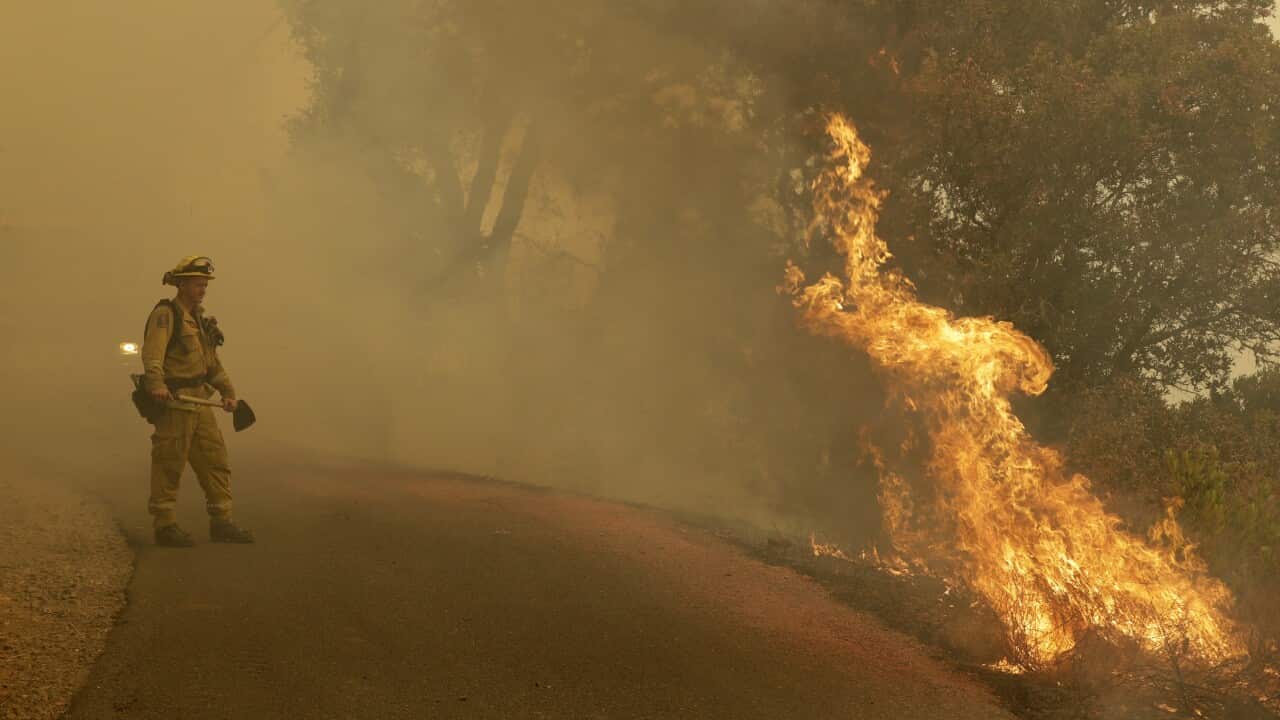 A firefighter monitors flames from a blackburn operation in California.