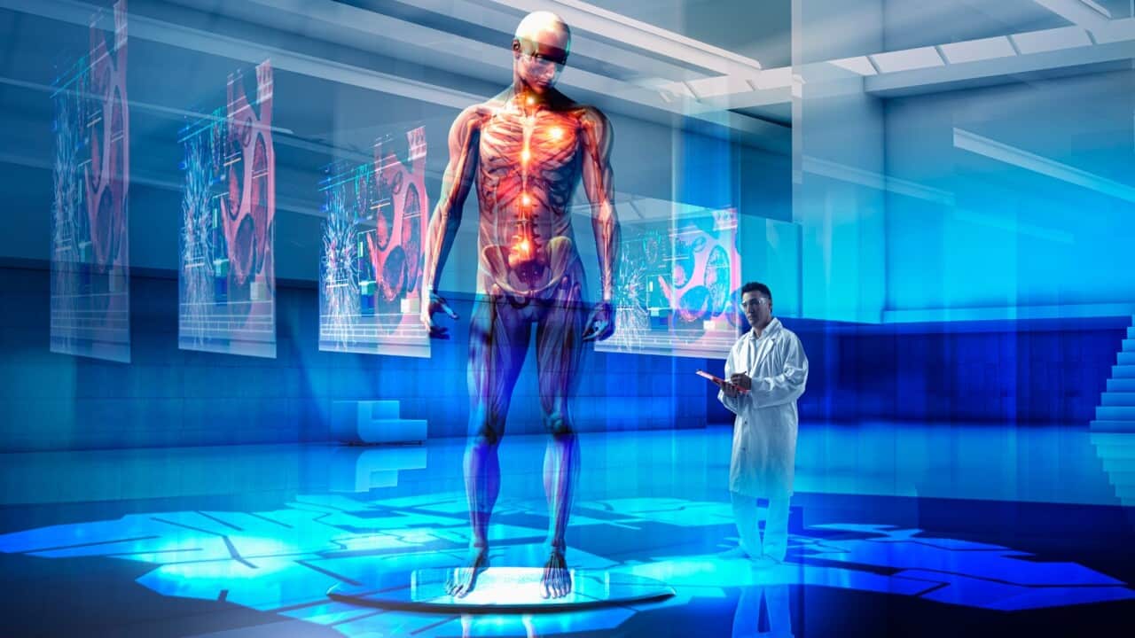 Doctor examining hologram of human anatomy