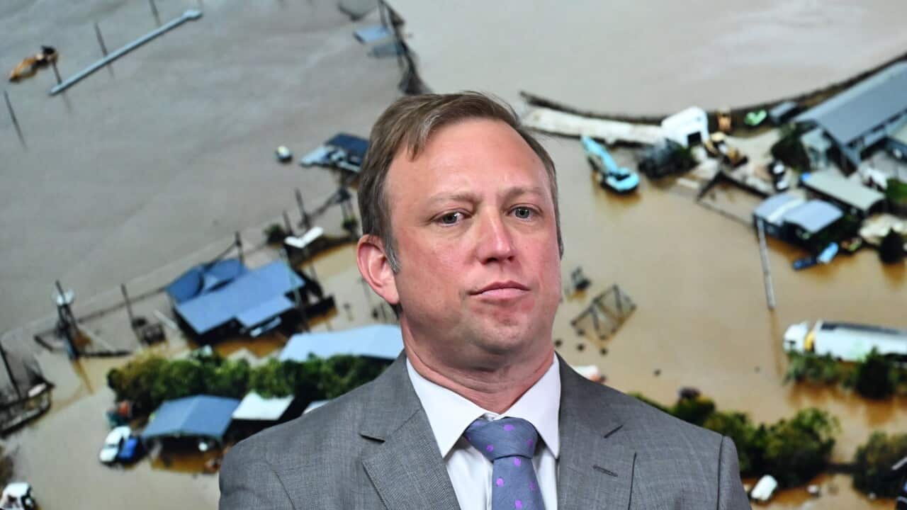 ANTHONY ALBANESE CYCLONE JASPER