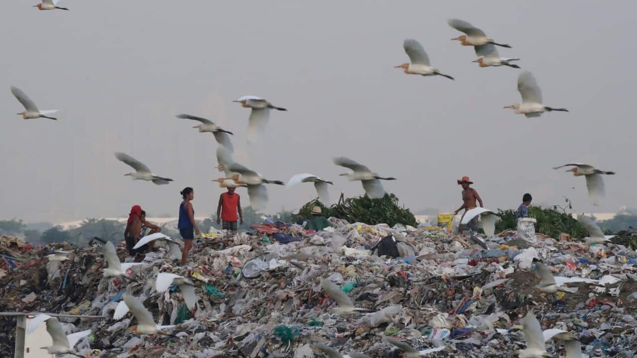 epaselect PHILIPPINES ENVIRONMENT