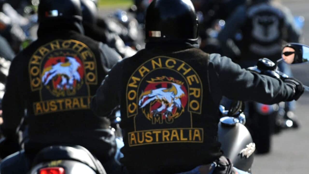 Bikies to be extradited to NSW