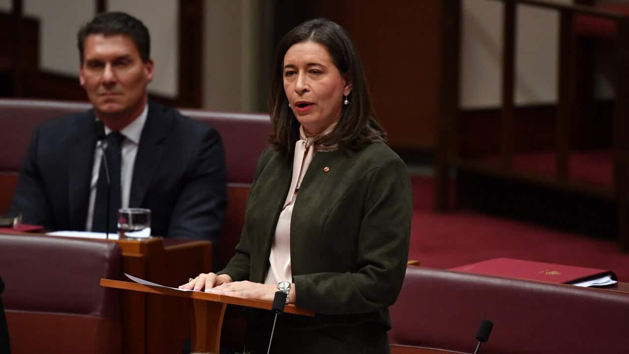 Nationals Senator Susan McDonald makes her maiden speech in the Senate Chamber at Parliament House in Canberra.