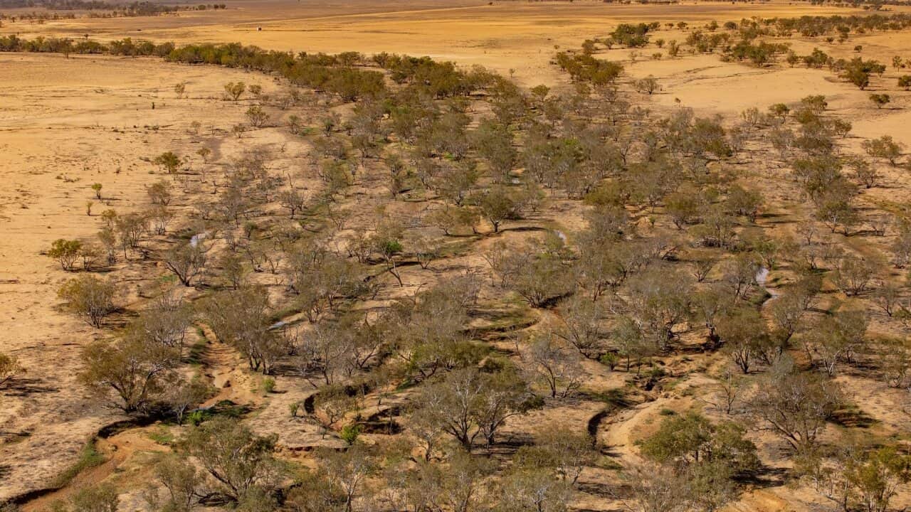 A supplied aerial view shows part of Narriearra Station in north-western NSW.