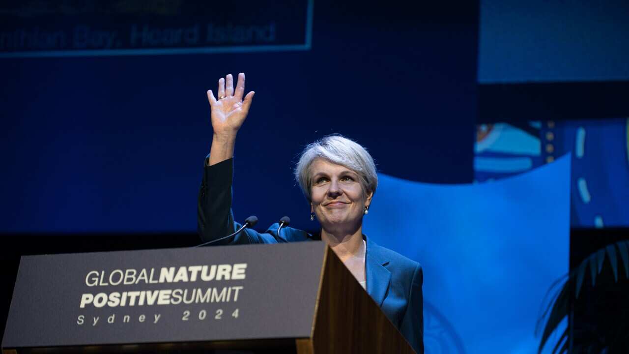 GLOBAL NATURE POSITIVE SUMMIT