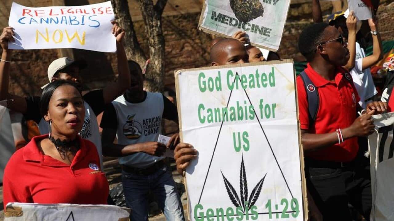 Supporters celebrate after a court ruled that the personal use of cannabis in South Africa is legal.