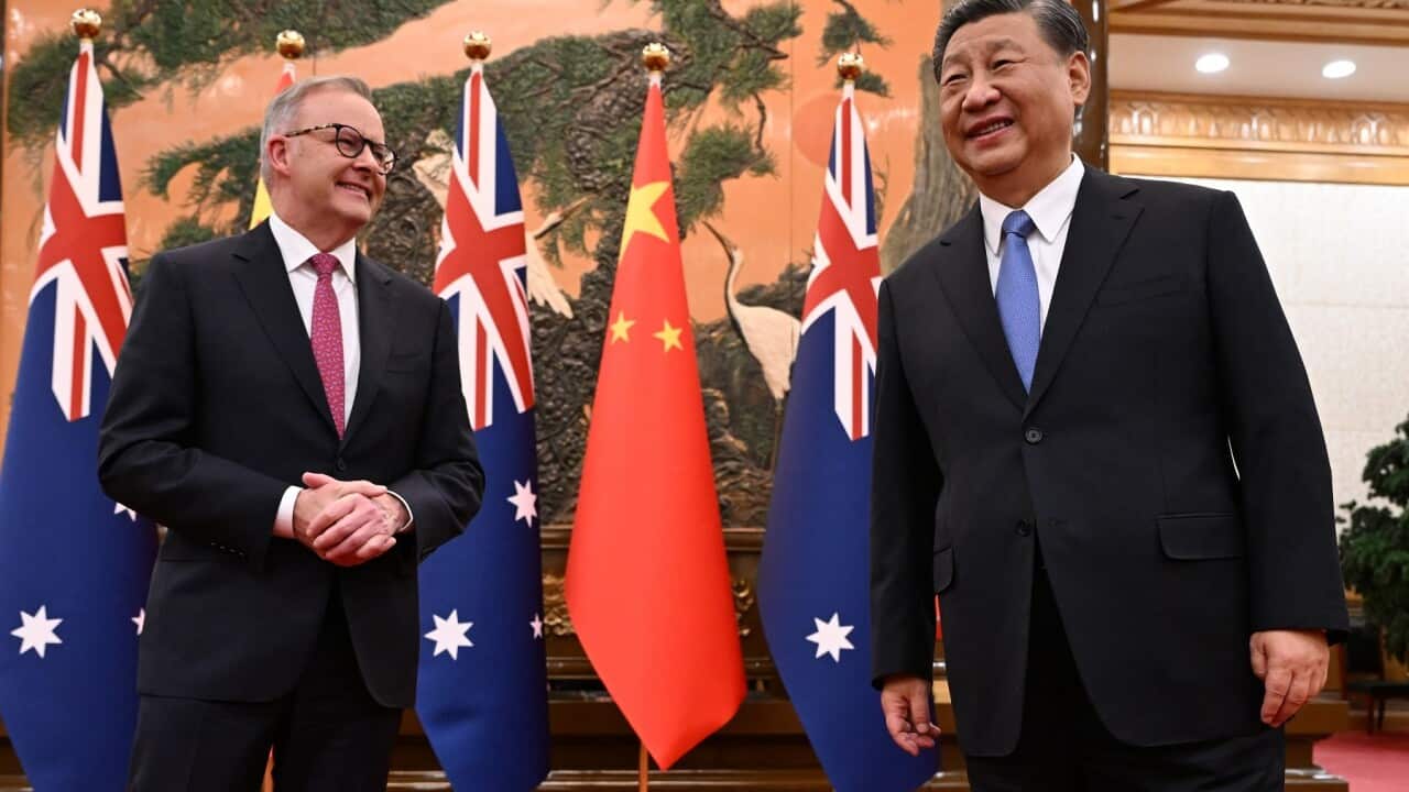 ANTHONY ALBANESE CHINA TOUR