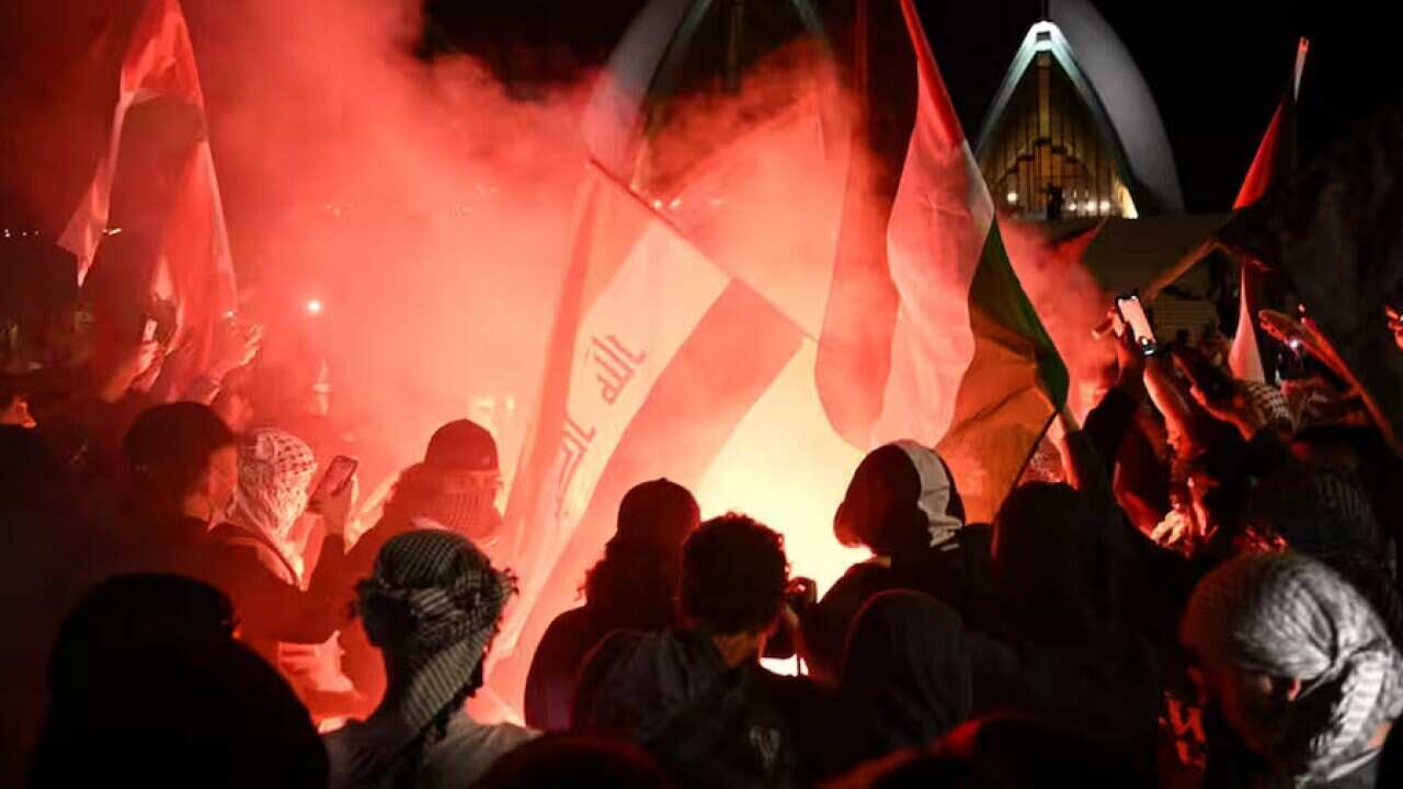 Protest Pro Palestine.jpg