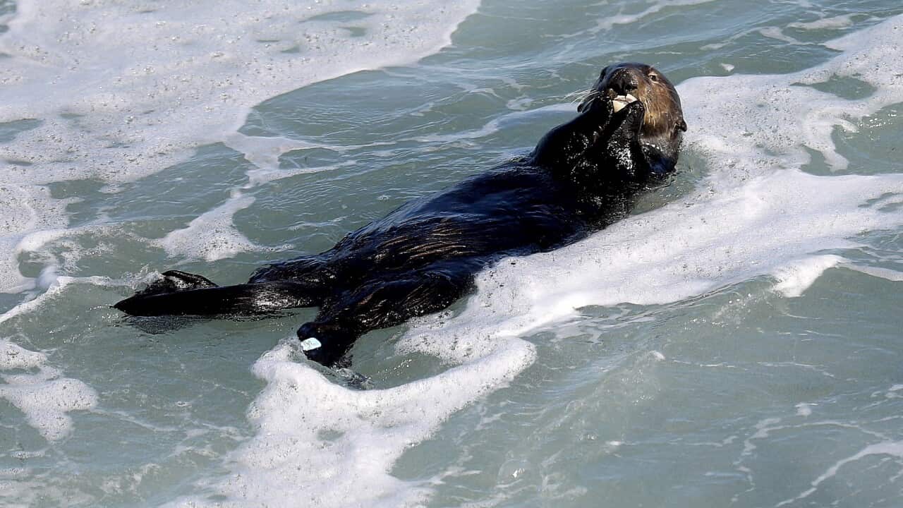 Image for read more article 'This report is available in Nepali language:'