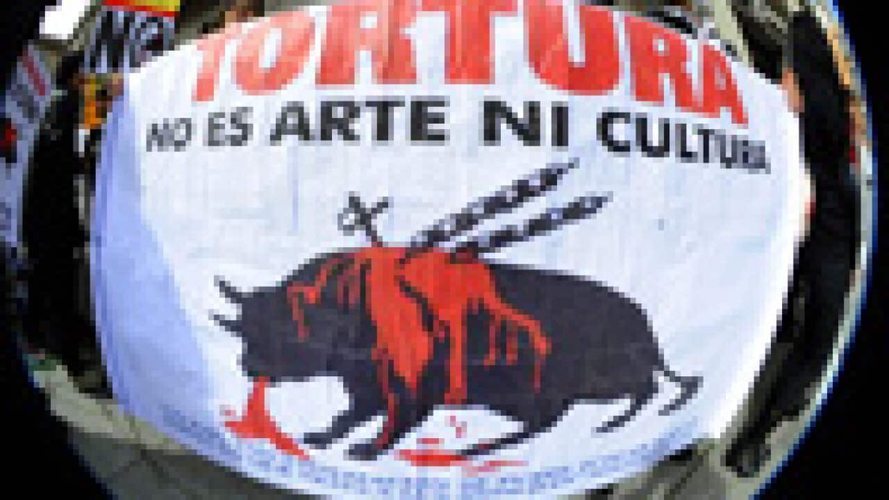 bullfight_demo_s_100329_afp_1482385067