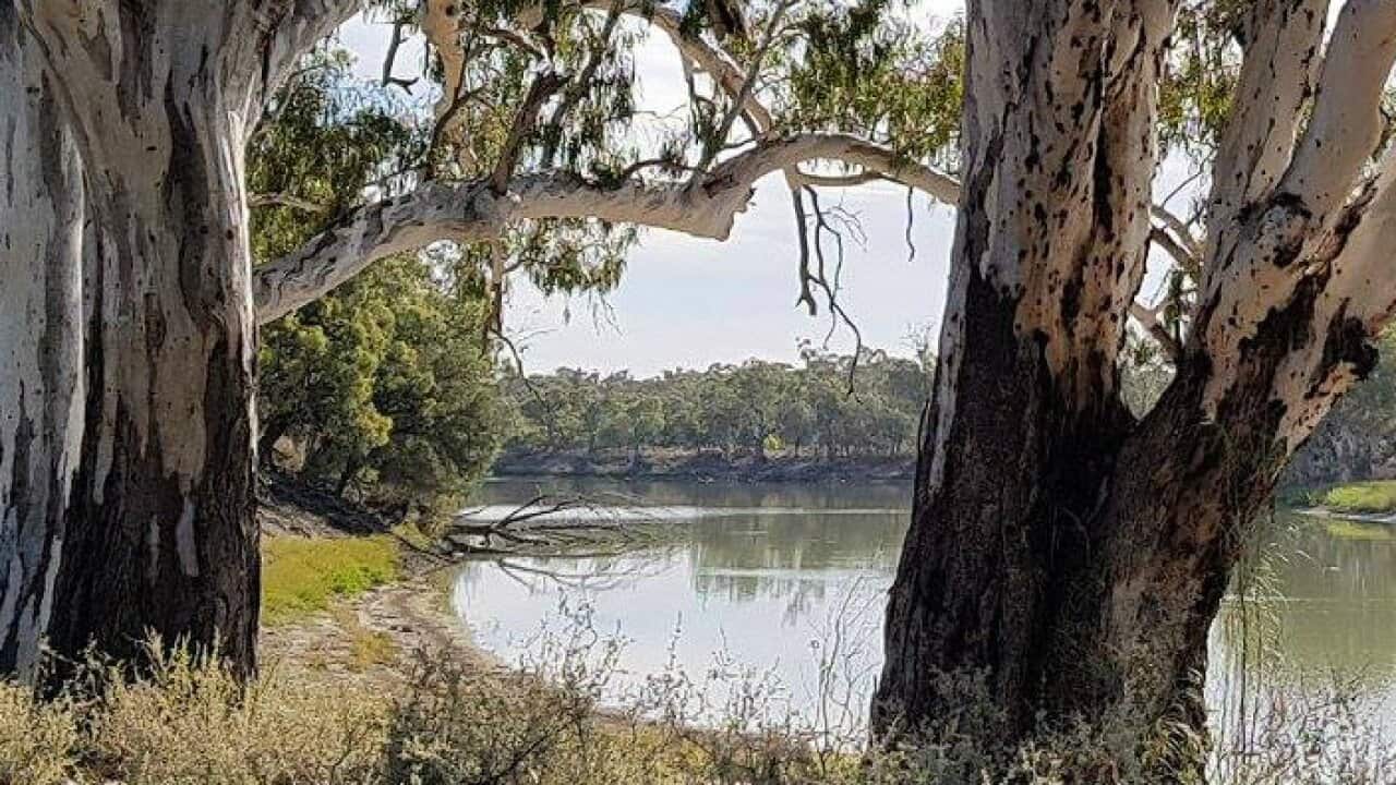 National Cultural Flows Research Committee launch reports in Canberra.