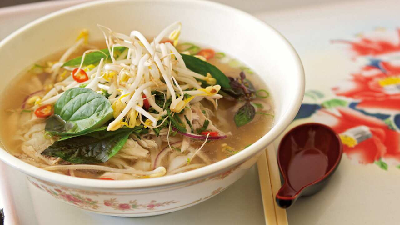 Pho Ga - Chicken Rice Noodle Soup