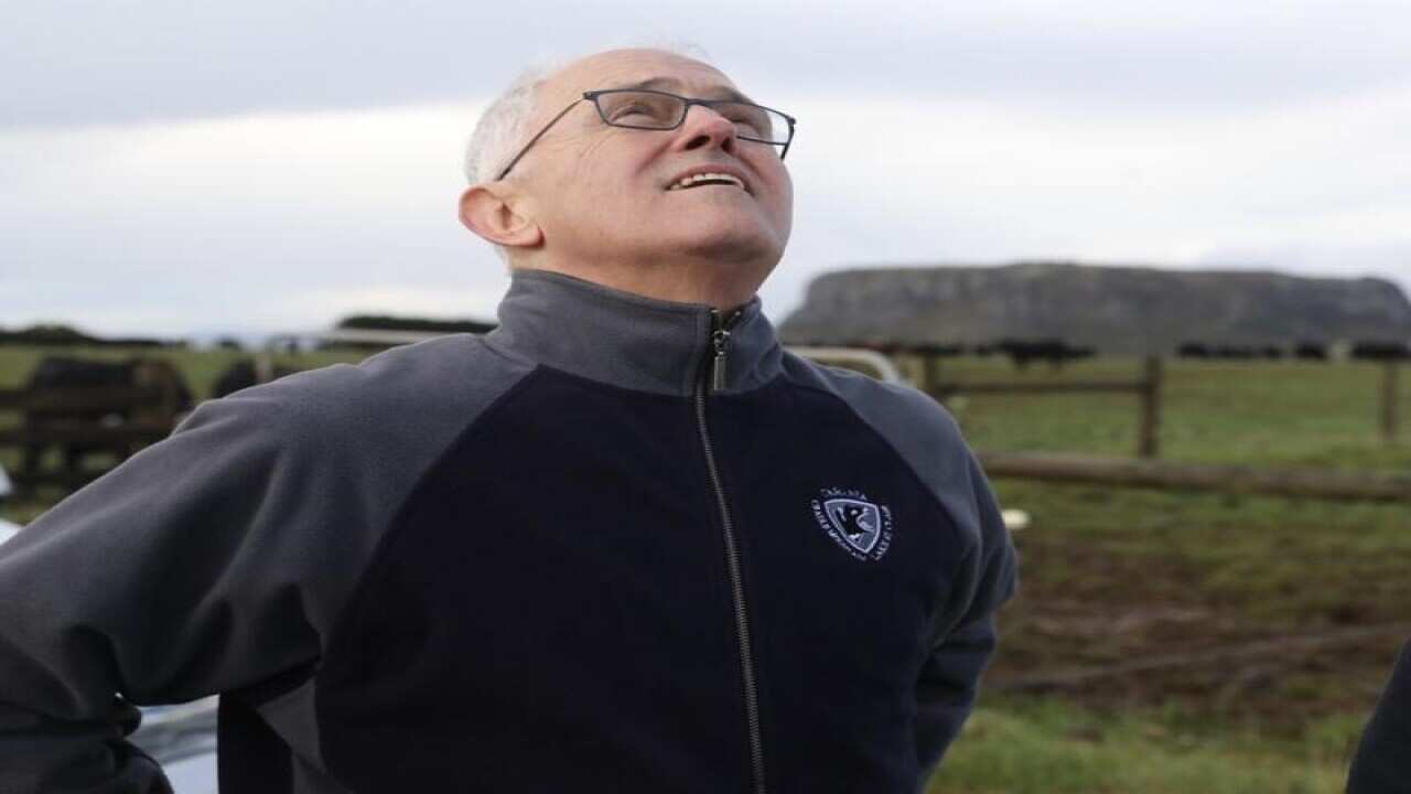 Malcolm Turnbull is seen at Western Plains Farm, in Stanley, Tasmania.