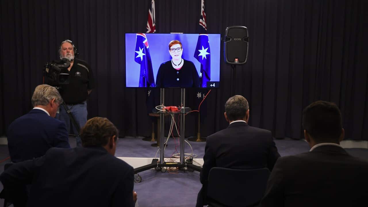 Foreign Minister Marise Payne at a virtual press conference at Parliament House in Canberra