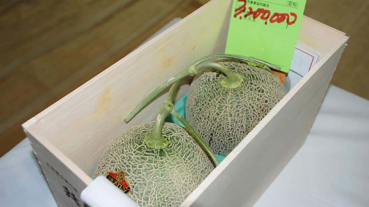 Yubari melons