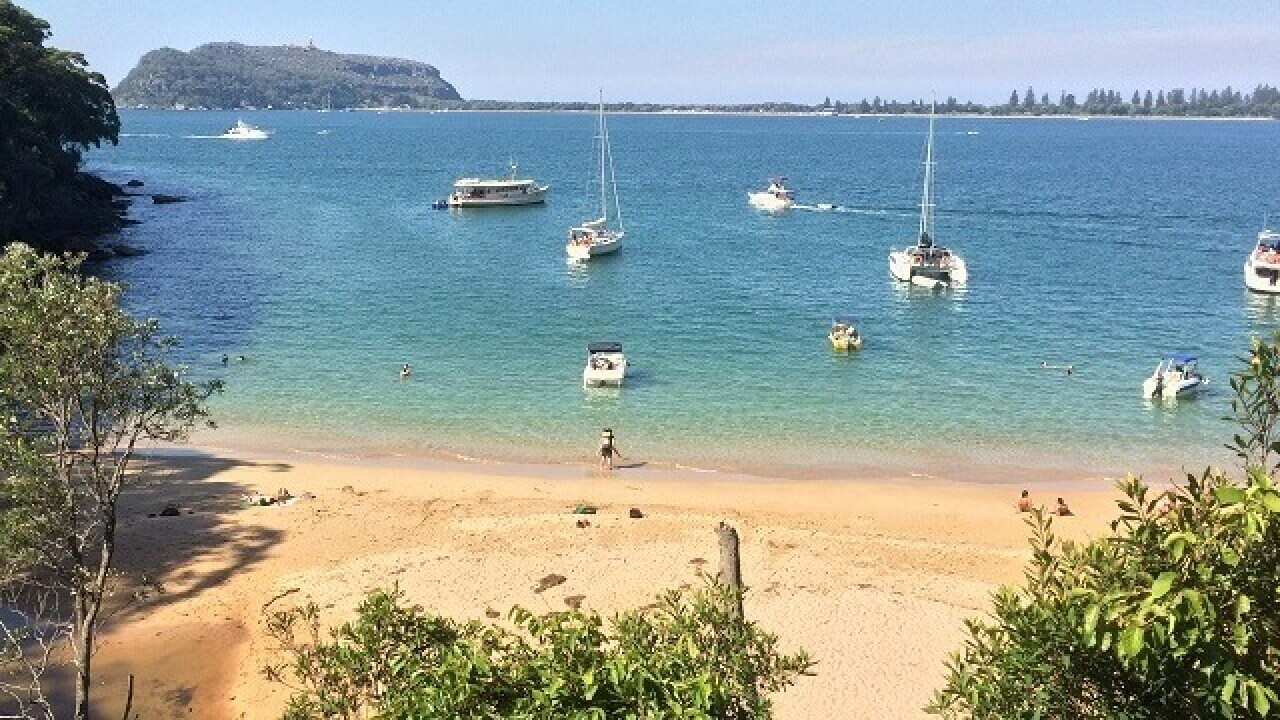 Resolute Beach, Ku-Ring-Gai Chase National Park
