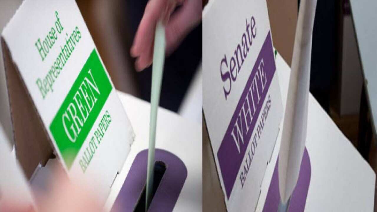 Election 2019: Voting for the House of Representatives and the Senate