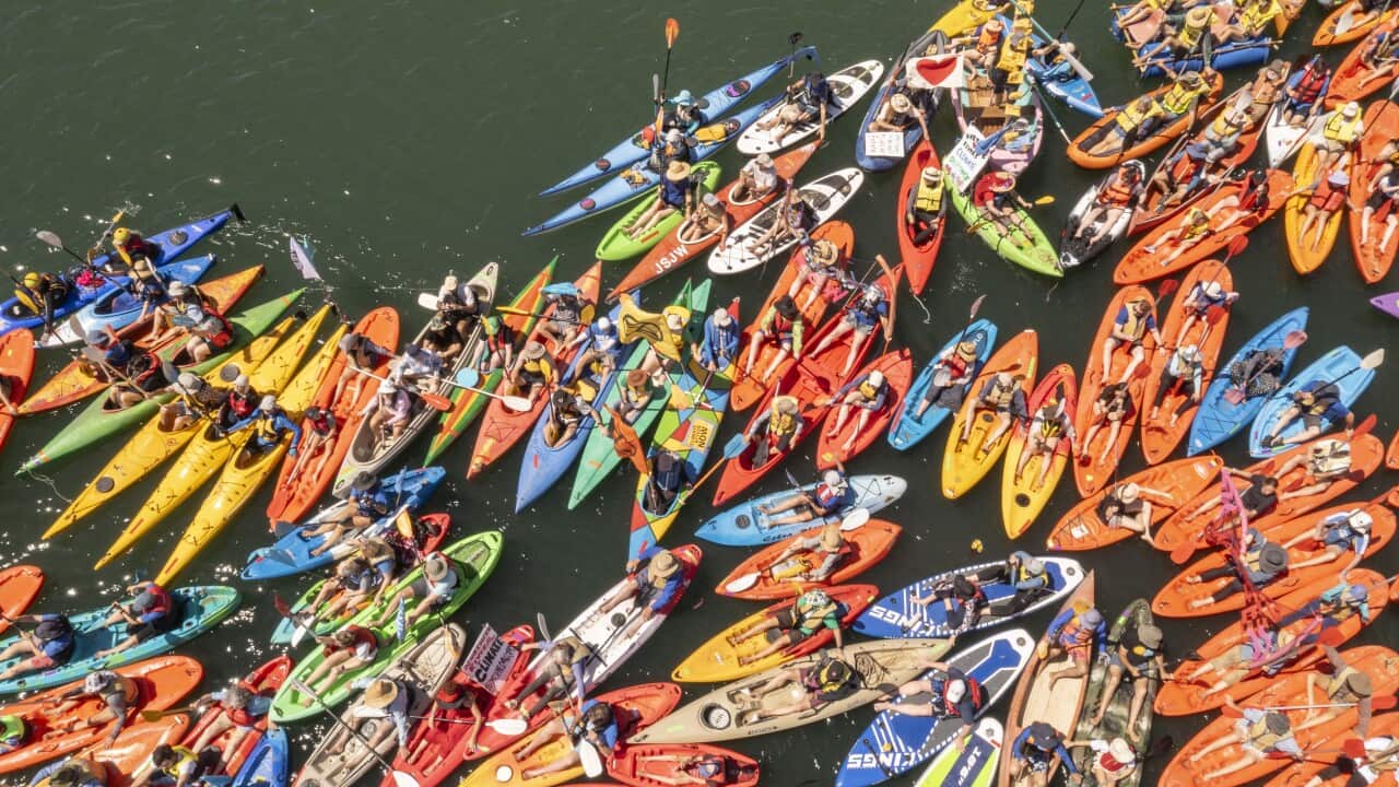 Dozens of colourful kayaks in the water.