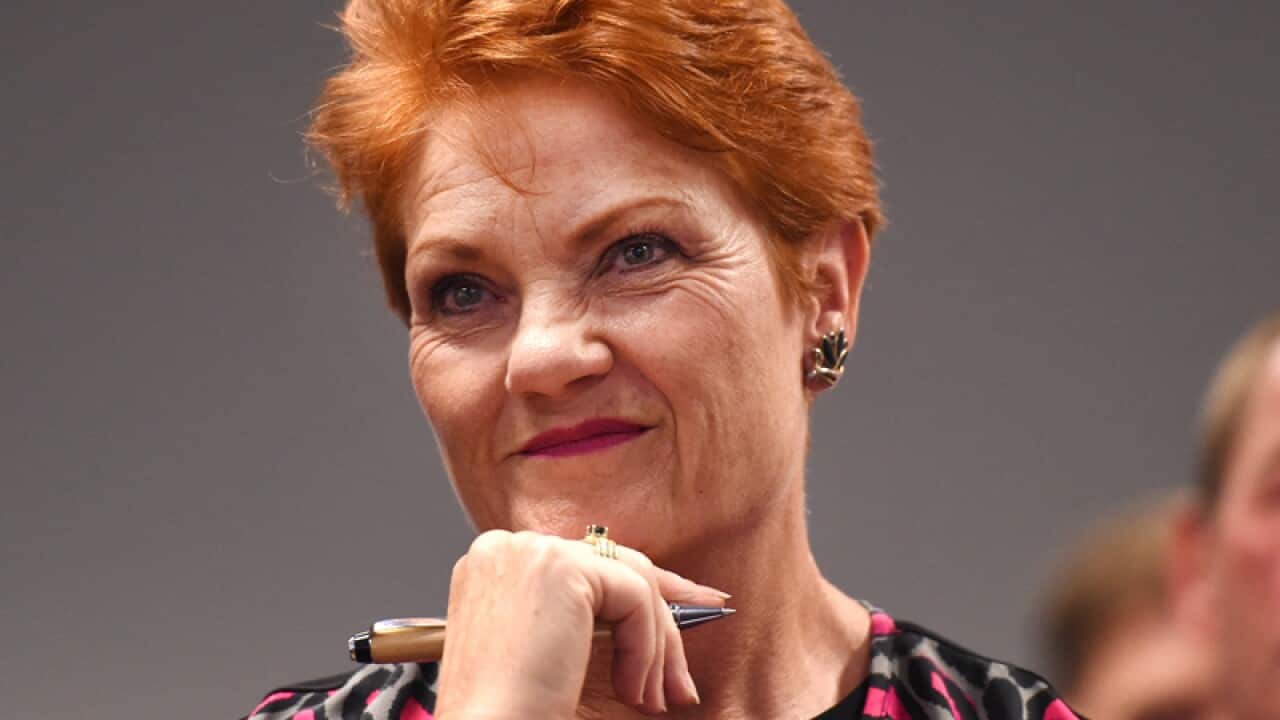One Nation Party leader Pauline Hanson
