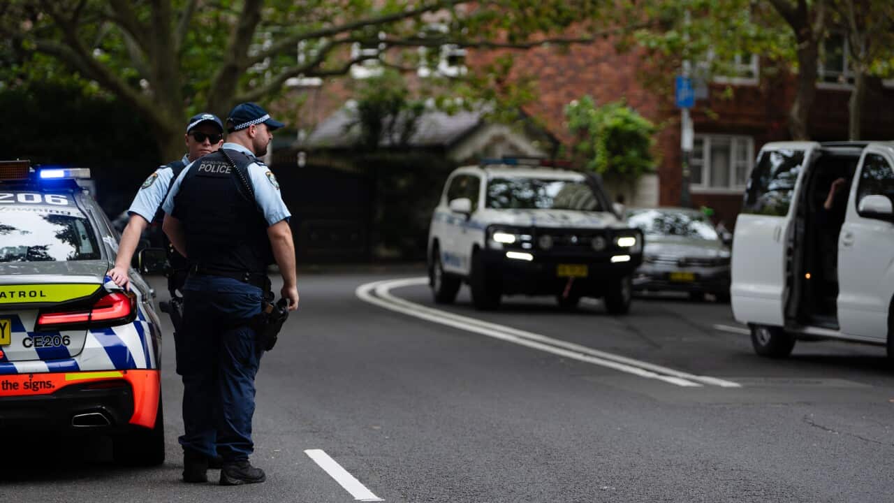 Two police officers standing on a road near police vehicles.
