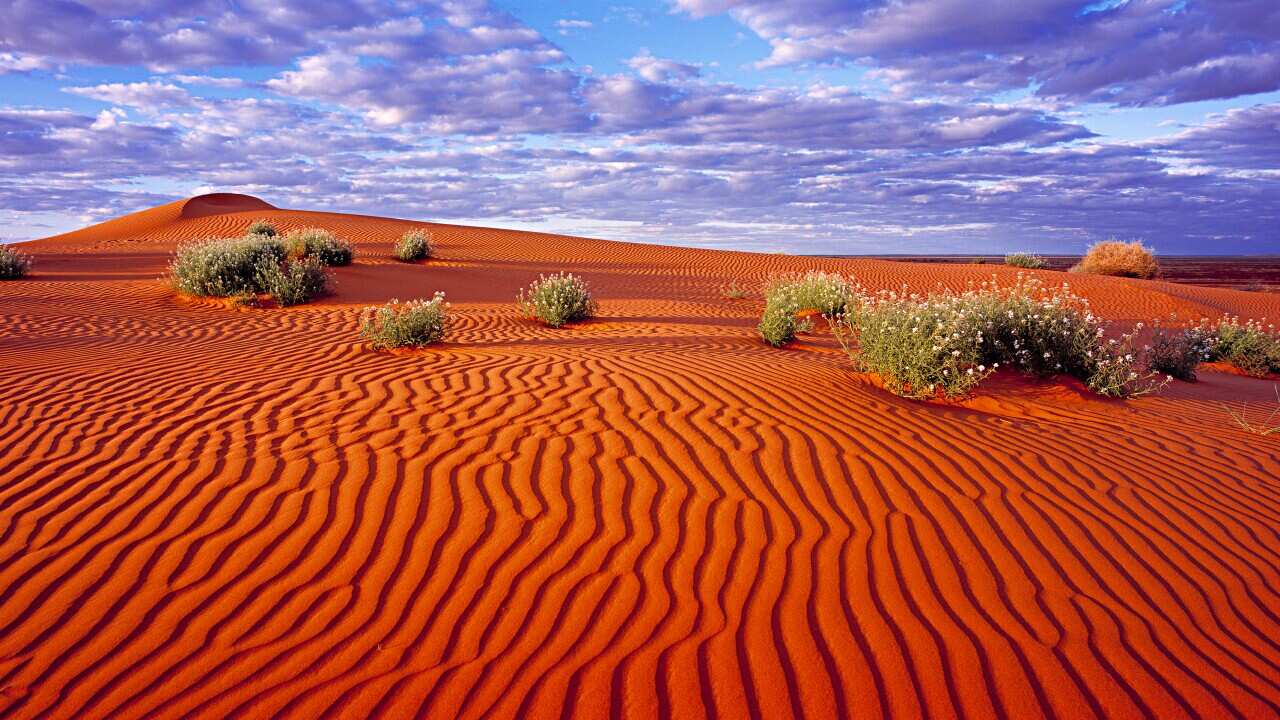 Simpson Desert