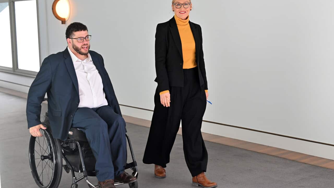 GREENS NDIS PRESSER