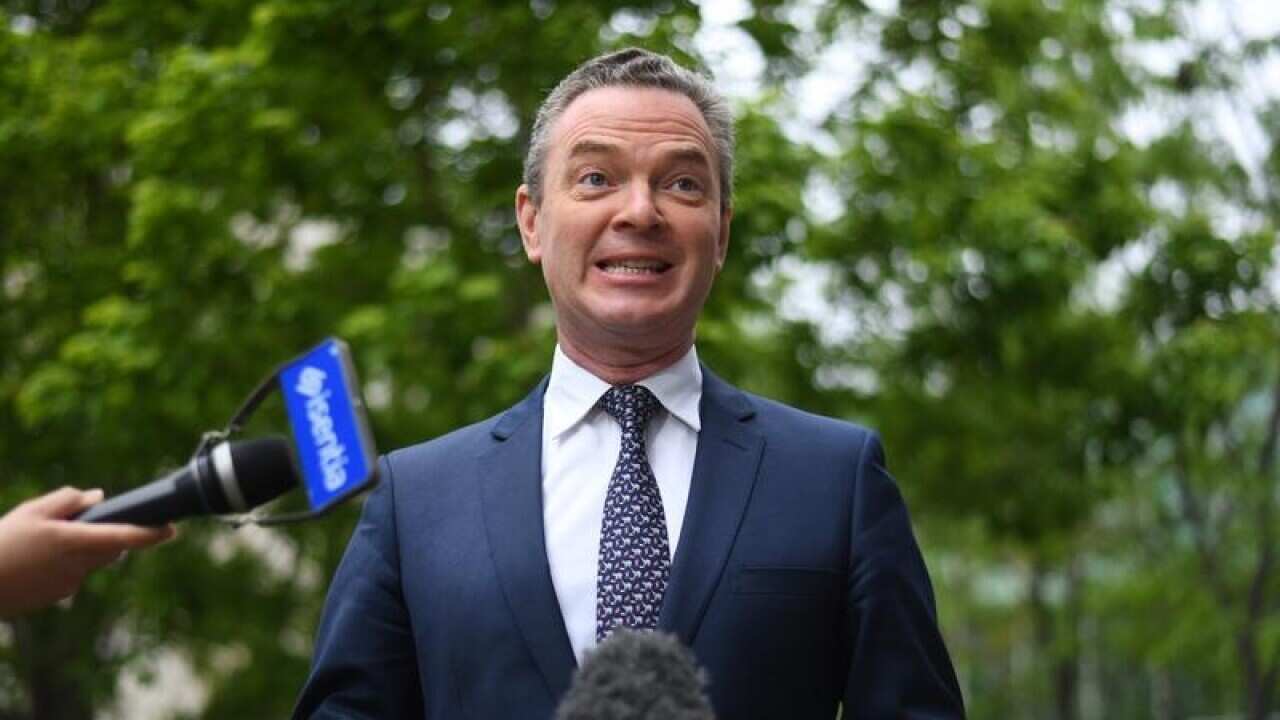 Christopher Pyne speaks to the media during a doorstop interview.