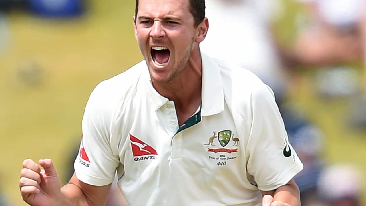 Australian spearhead Josh Hazlewood