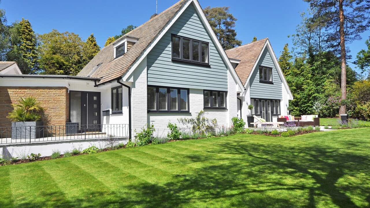 How do I properly maintain my lawn in summer?