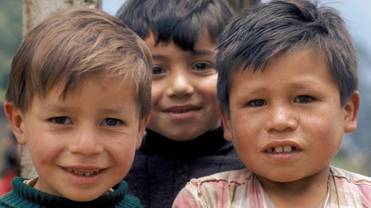 kinderbuch kinderbücher kochen kochbuch kinder literatur abenteuer lesen