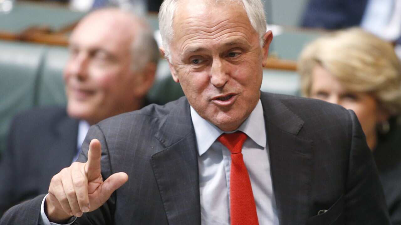 Liberal frontbencher Malcolm Turnbull