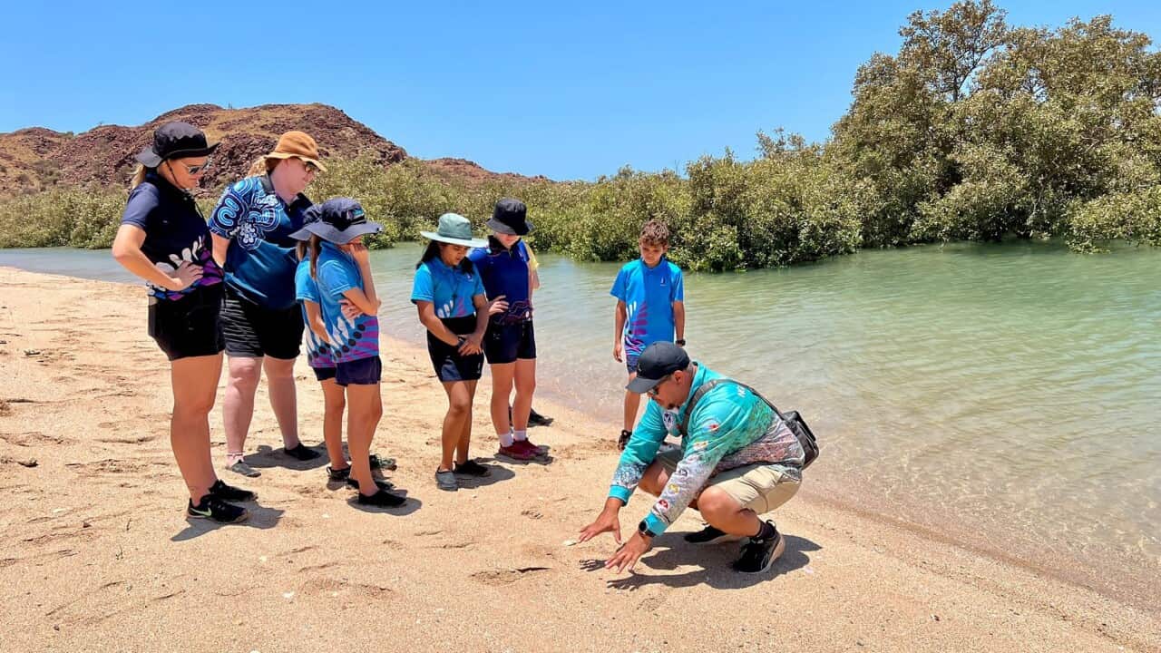 Students in Western Australia taking part in the CSIRO's Living Stem program (Credit Stella Gray-Broun ).