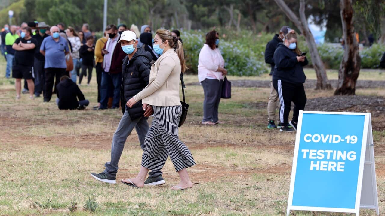 Long testing queues and panic buying have been reported in South Australia as Adelaide battles a new coronavirus cluster.