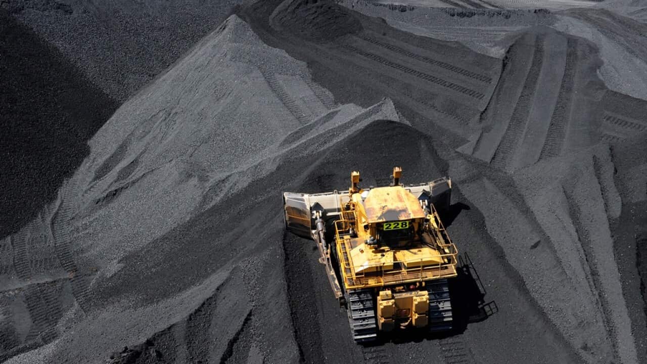 Coal