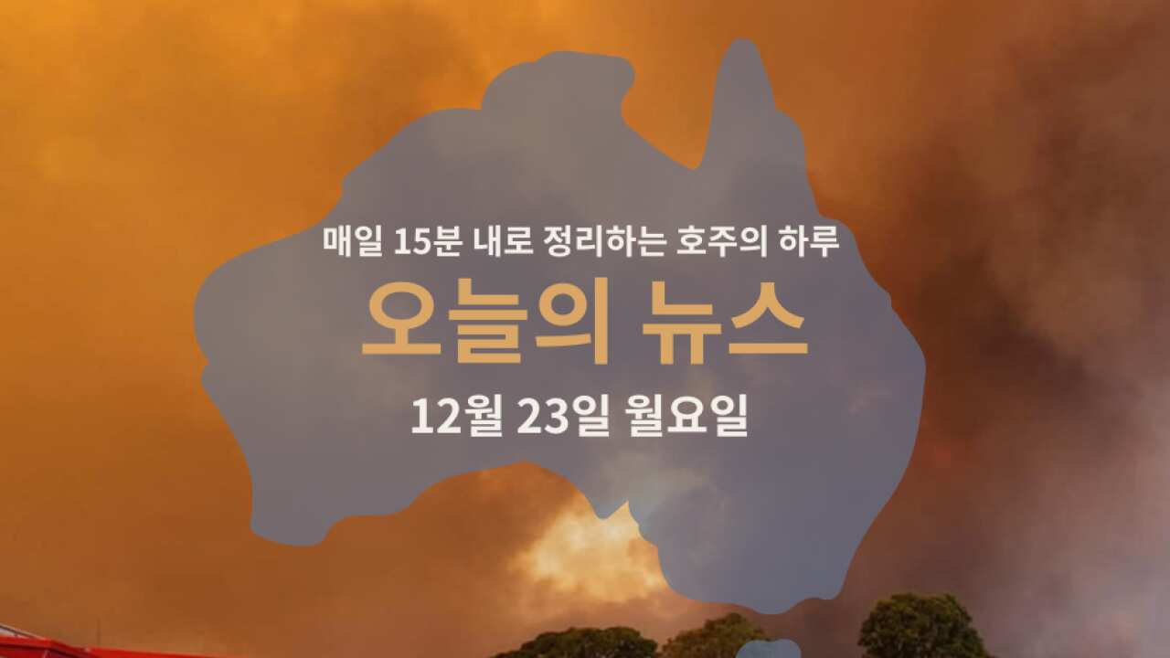 15 news WEB 23.png