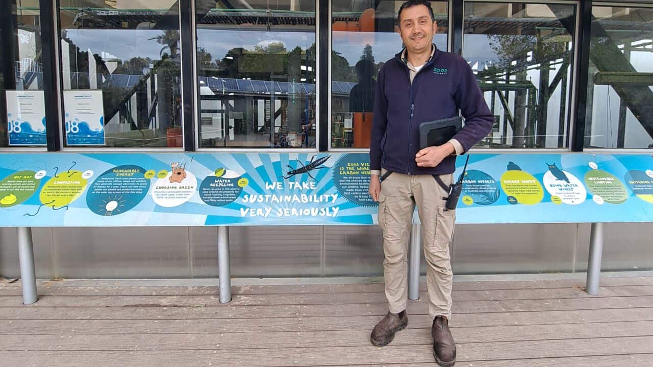 Giuseppe Greco allo zoo