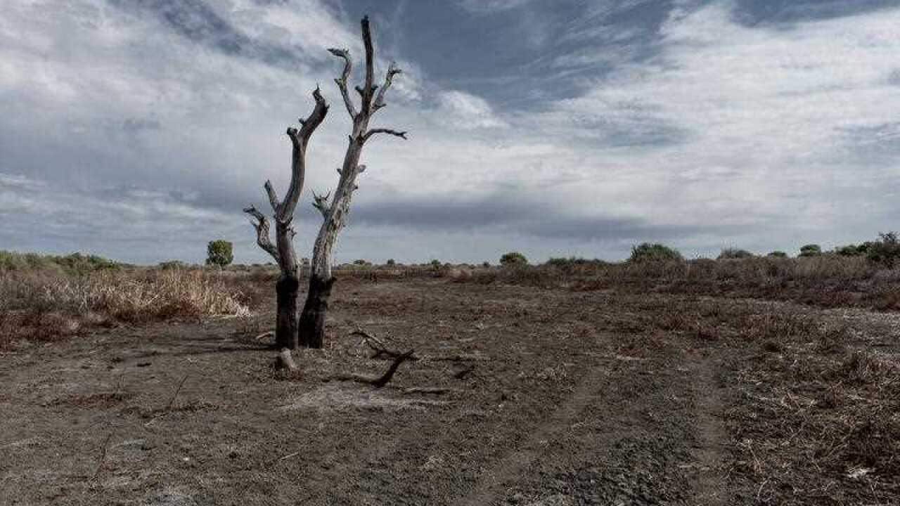 Drought affected NSW land