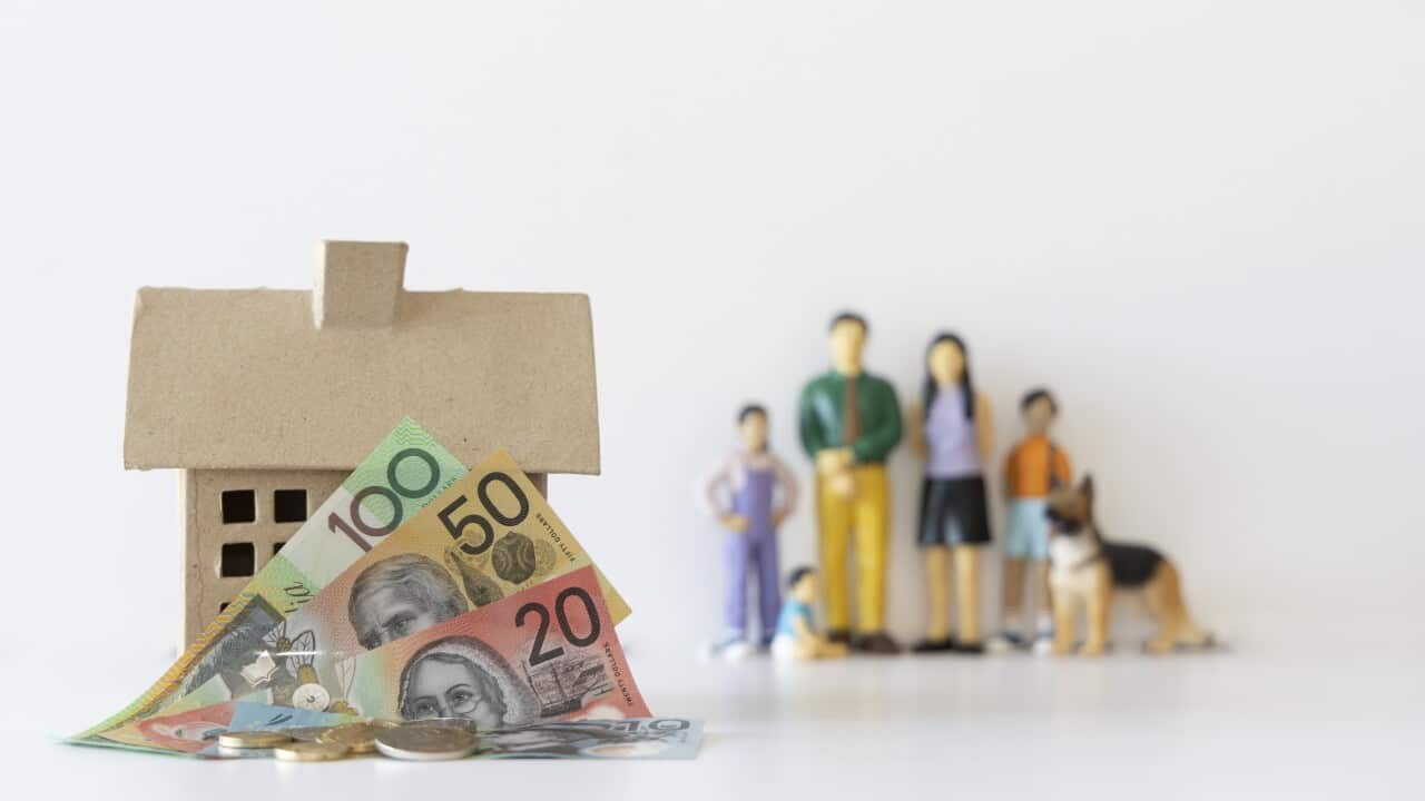 Image for read more article 'පසුගිය SBS සිංහල පුවත්'