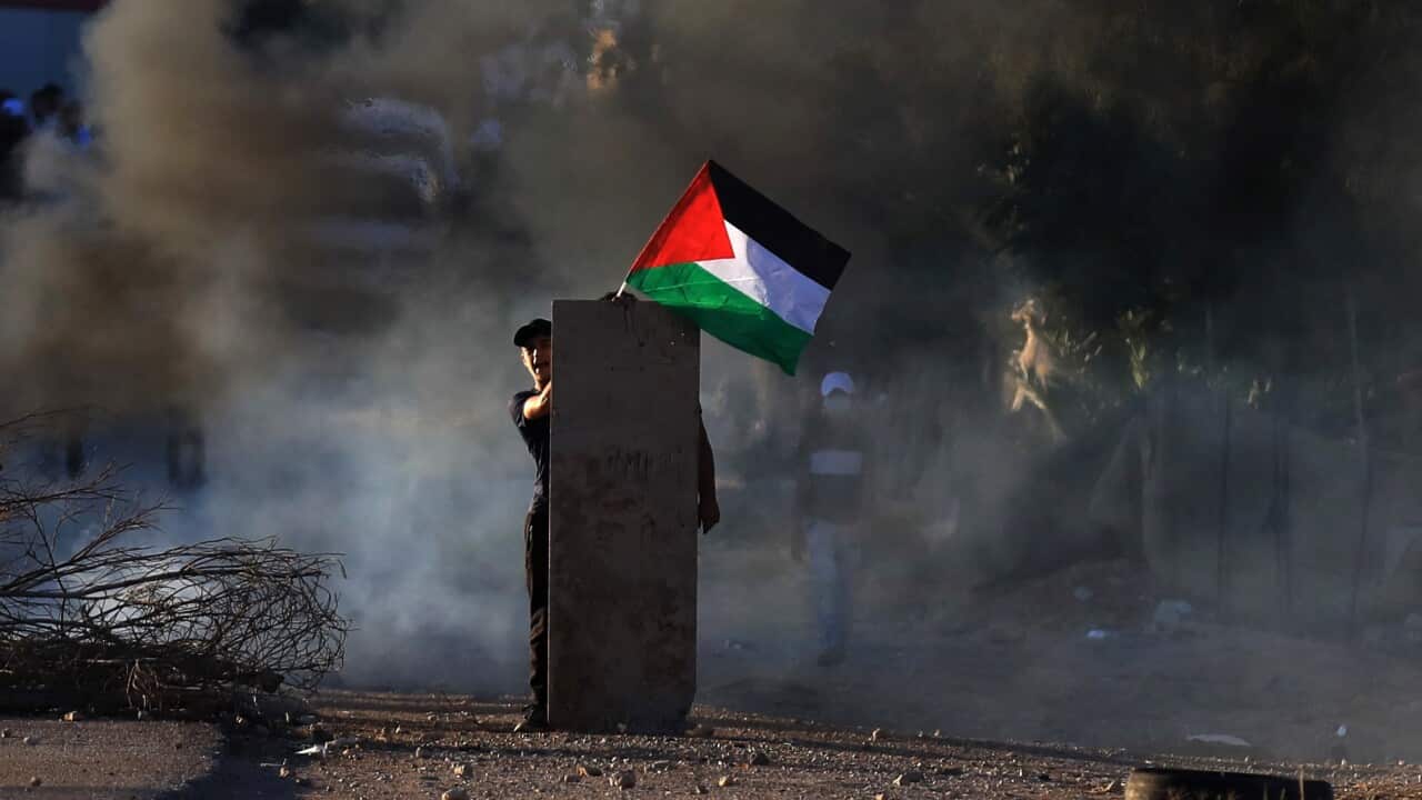 Palestinians take part in clashes with Israeli troops at the village of Fasayil, near the West Bank city of Jericho, 24 June.